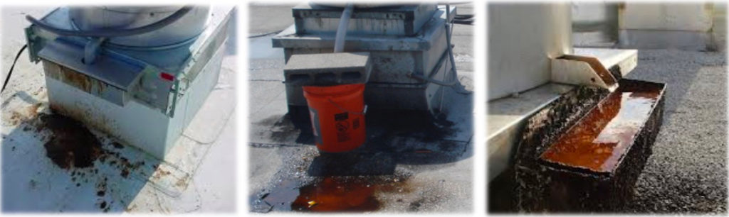 Out of sight out of mind rooftop grease